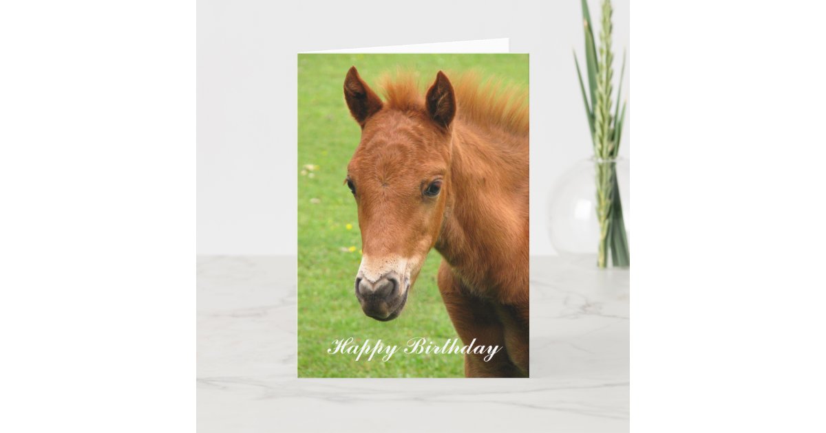 Carte De Joyeux Anniversaire De Cheval De Bebe De Zazzle Fr Carte De Joyeux Anniversaire De Cheval De Bebe De Zazzle Fr