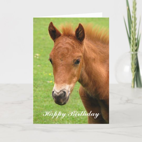 Carte De Joyeux Anniversaire De Cheval De Bebe De Zazzle Fr