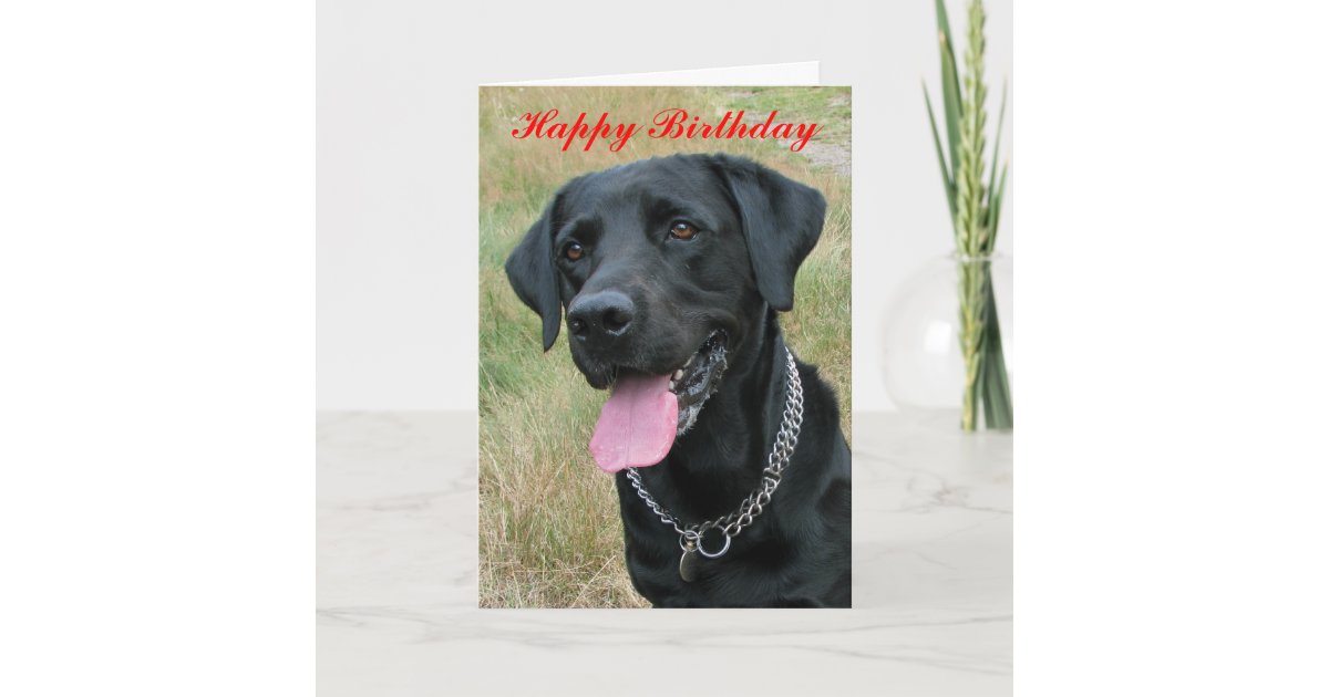 Carte de joyeux  anniversaire  de chien de labrador  Zazzle fr