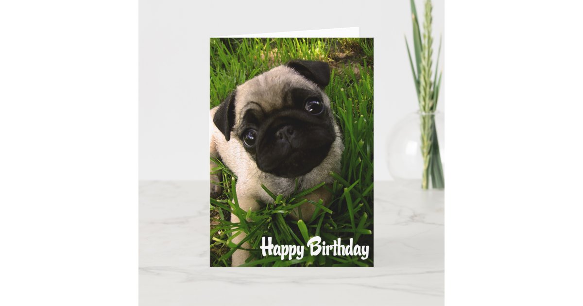  Carte  de joyeux anniversaire  de chiot de carlin  Zazzle fr