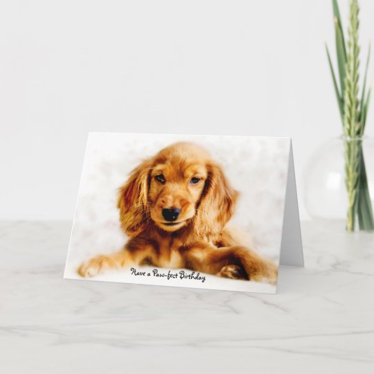 Carte De Joyeux Anniversaire De Chiot De Cocker Zazzle Fr