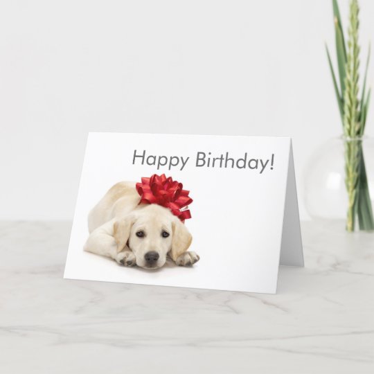 Carte De Joyeux Anniversaire De Labrador Retriever Zazzle Fr