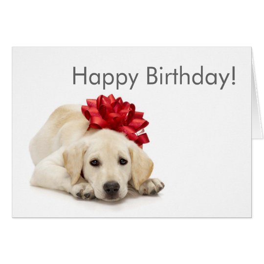 Carte de joyeux  anniversaire  de labrador  retriever Zazzle fr