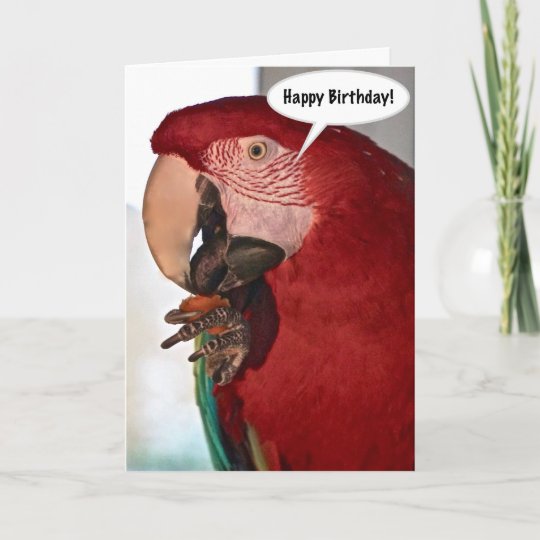 Carte De Joyeux Anniversaire De Perroquet D Ara Zazzle Fr