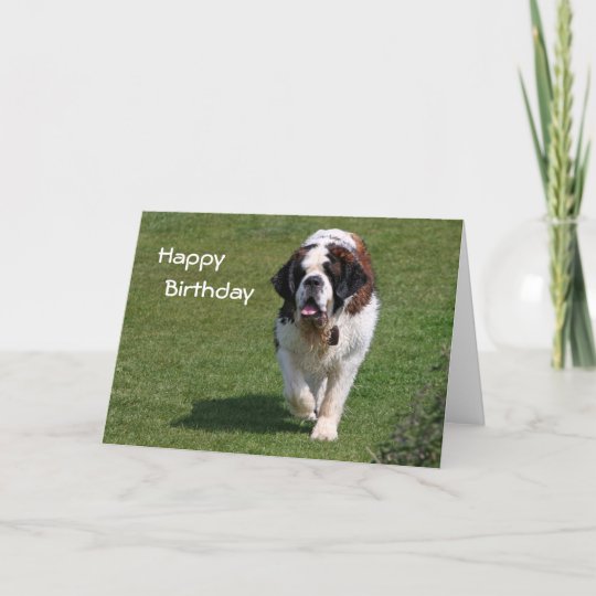 Carte De Joyeux Anniversaire De Photo De Chien De Zazzle Fr