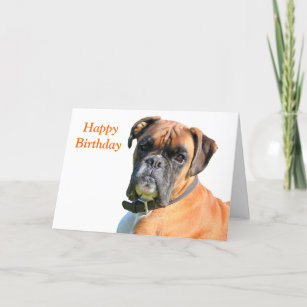 Cadeaux Boxeur Joyeux Anniversaire Zazzle Fr