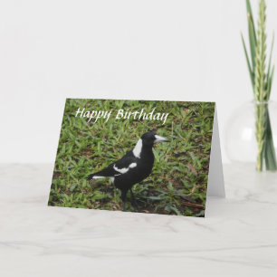 Carte de joyeux anniversaire de pie australienne