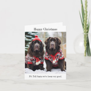 Carte de Jumpers de Noël des chiens de Terre-Neuve