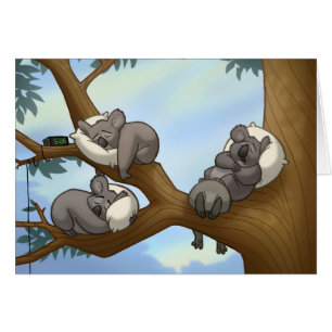 Carte de koala de sommeil