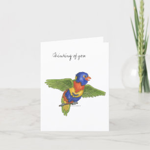 Carte de la collection Budgie