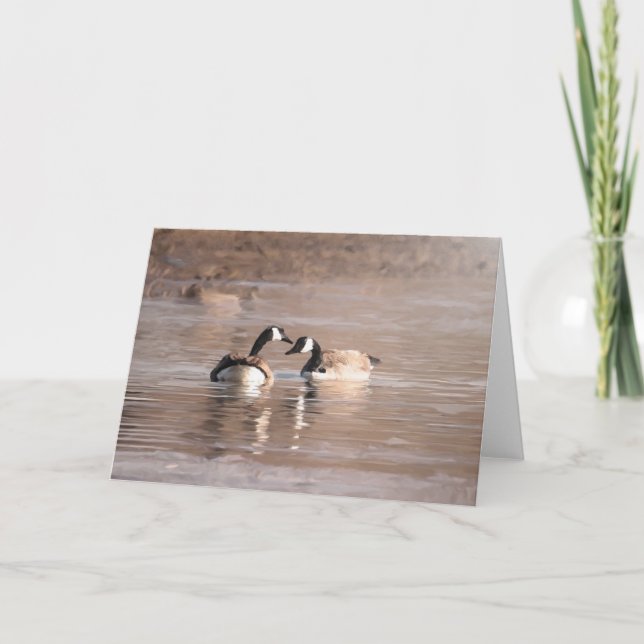 Carte de la faune et de l'extérieur "Love" (Devant)