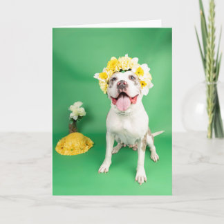 Carte de la fête des mères