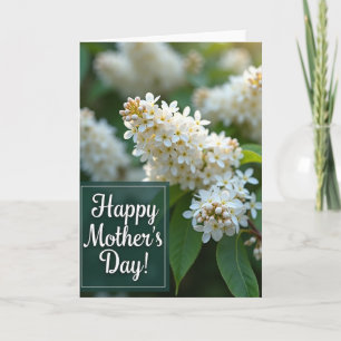 Carte de la fête des mères à fleurs blanches
