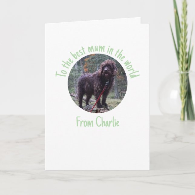 Carte de la fête des mères de la part du chien (Devant)