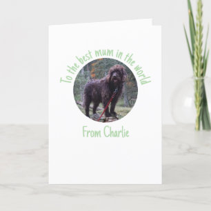 Carte de la fête des mères de la part du chien