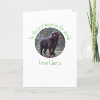 Carte de la fête des mères de la part du chien
