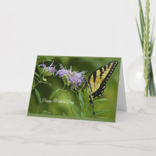 Carte de la fête des mères de Tiger Swallowtail or