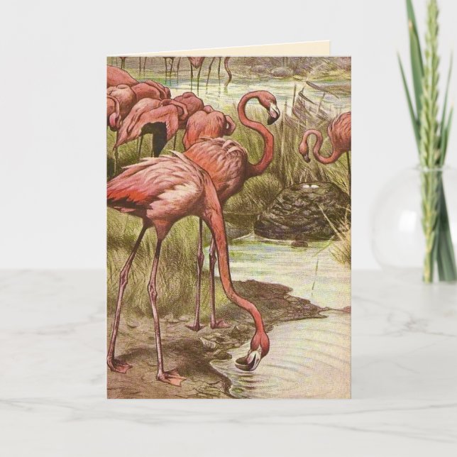 Carte de la fête des mères flamant vintage (Devant)
