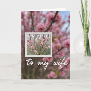Carte de la Fête des Mères Fleur Rose Épanouie