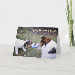 Carte de la fête des mères Jack Russell