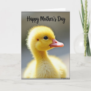 Carte de la fête des mères pour un poussin duveteu