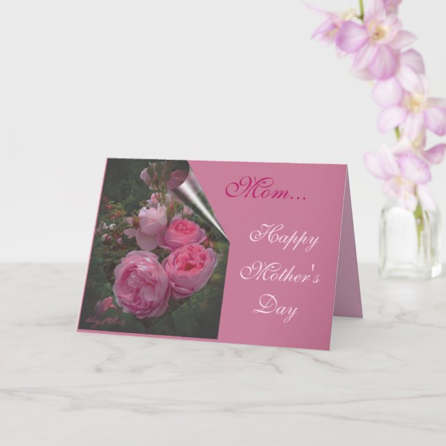 Carte de la fête des mères Rose Rose (Orchidée)