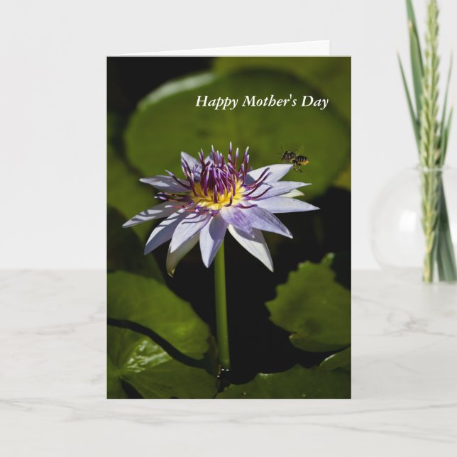 Carte de la fête des mères Water Lily (Devant)