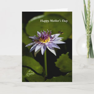 Carte de la fête des mères Water Lily