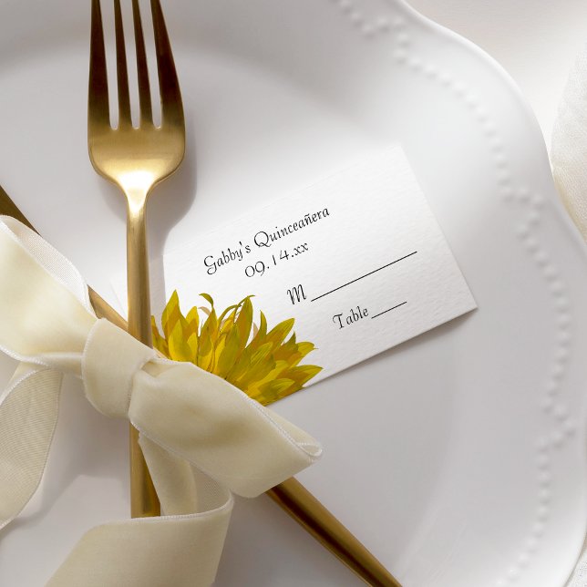 Carte de la place de Quinceanera (Créateur téléchargé)