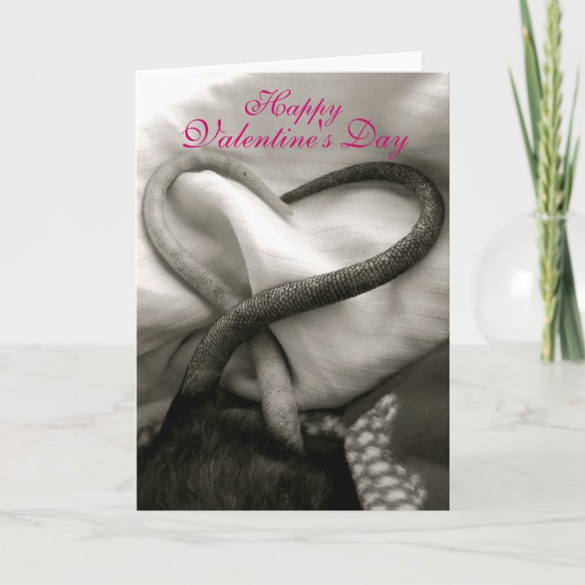 Carte de la Saint-Valentin (Devant)