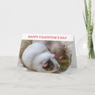Carte de la Saint-Valentin avec de mignons cochons
