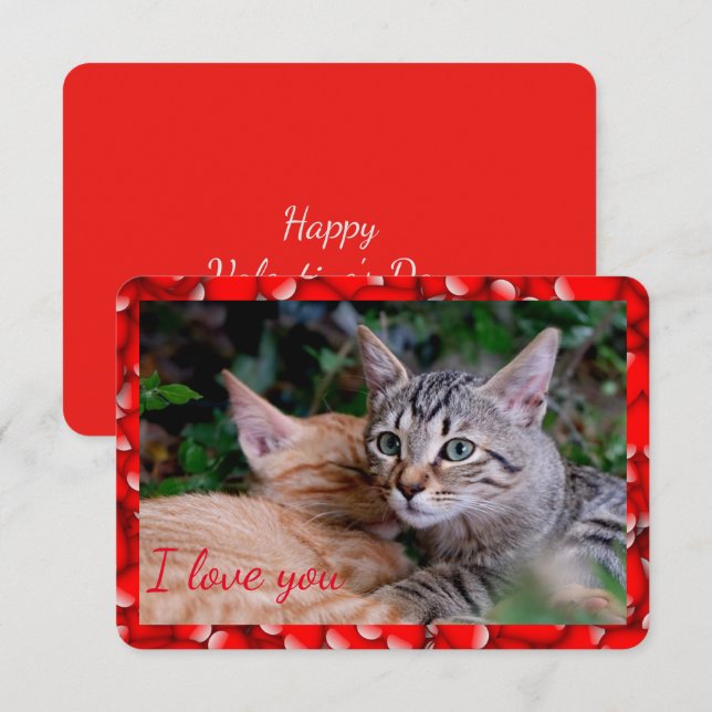 Carte de la Saint-Valentin Chaton Mignon (Devant / Derrière)