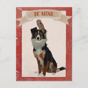 Carte de la Saint-Valentin COLLIE & OWL