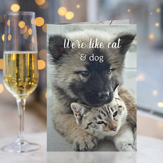 Carte de la Saint-Valentin de Chat et Chien le plu