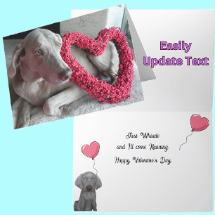 Carte de la Saint-Valentin du chien Weimaraner Rai
