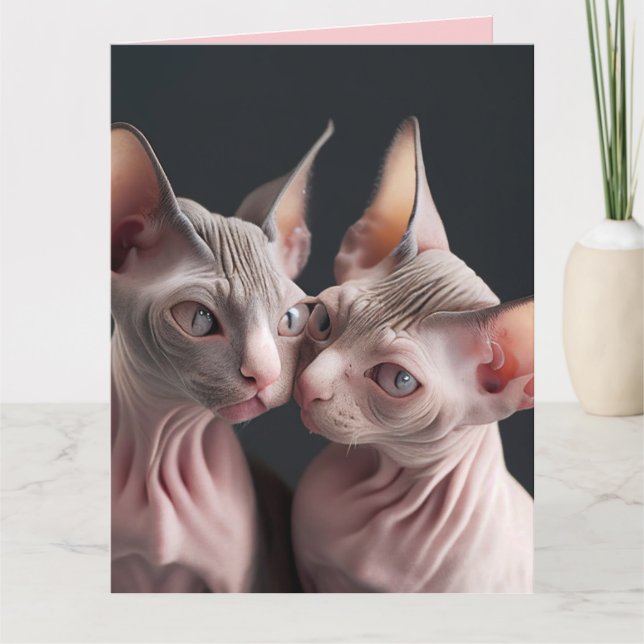 CARTE DE LA SAINT-VALENTIN GRANDE CHAT SPHINX SANS (Devant)