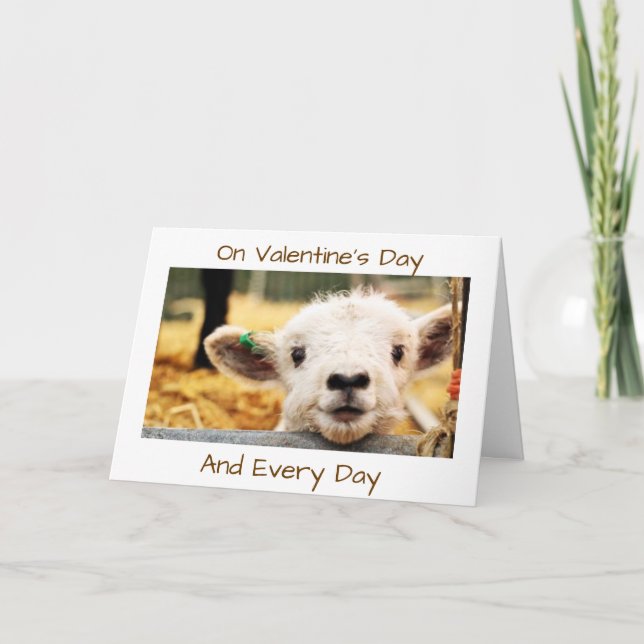 CARTE DE LA SAINT-VALENTIN "L'AGNEAU DIT "JE T'AIM (Devant)