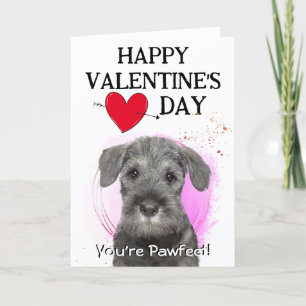 Carte de la Saint-Valentin personnalisée pour Schn