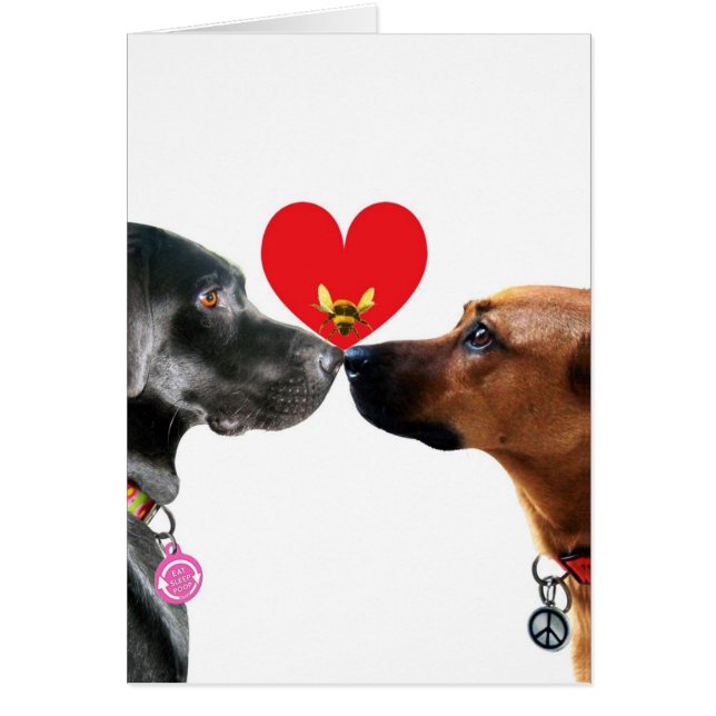 Carte de la Saint-Valentin pour amour de chiots (Devant)