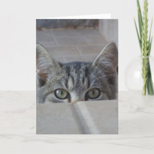 Carte de la Saint-Valentin pour chaton joue à cach