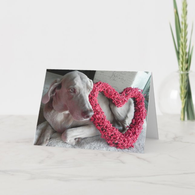 Carte de la Saint-Valentin pour chien Rain le Weim (Devant)