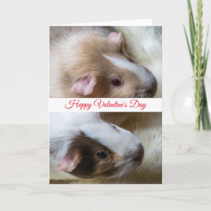 Carte de la Saint-Valentin pour deux cochons d'Ind