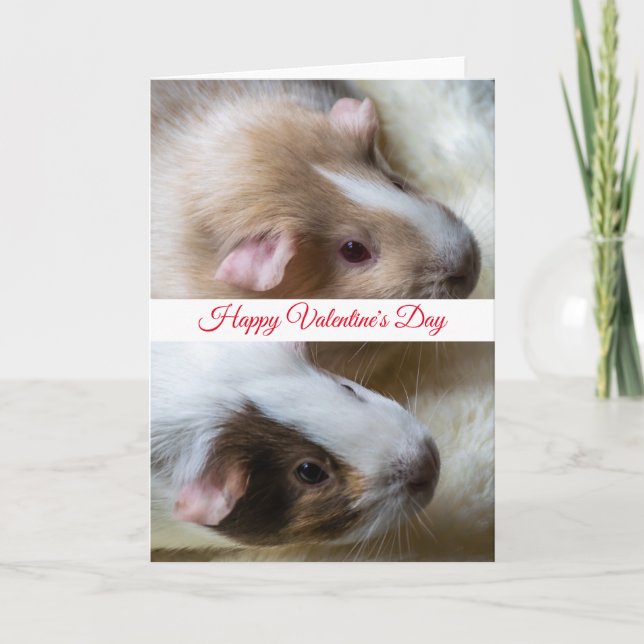 Carte de la Saint-Valentin pour deux cochons d'Ind (Devant)