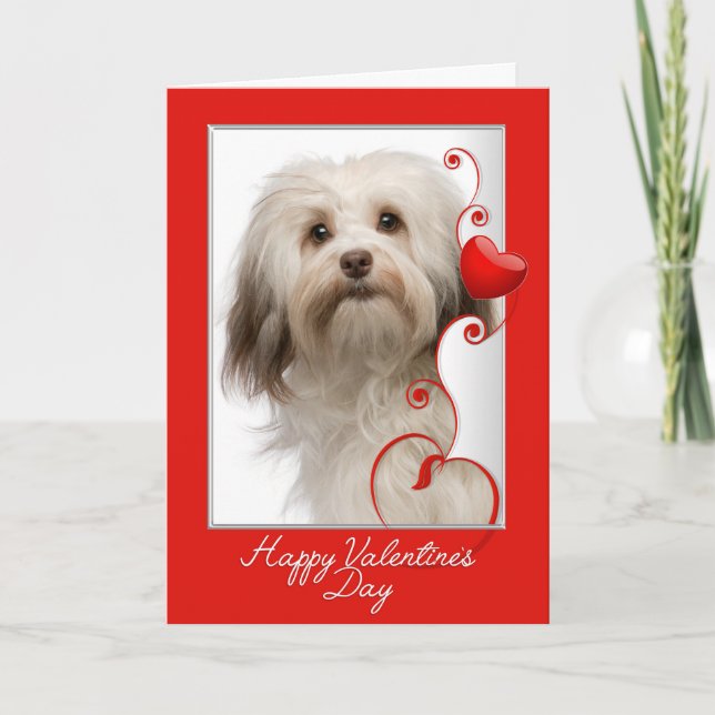 Carte de la Saint-Valentin pour Havanais (Devant)