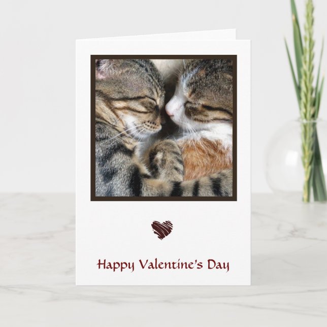 Carte de la Saint-Valentin pour l'amour des chats (Devant)