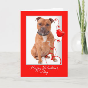 Carte de la Saint-Valentin pour Staffie
