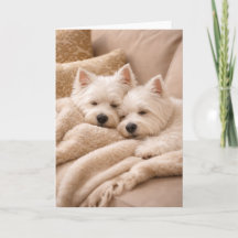 Carte de la Saint-Valentin pour West Highland Terr