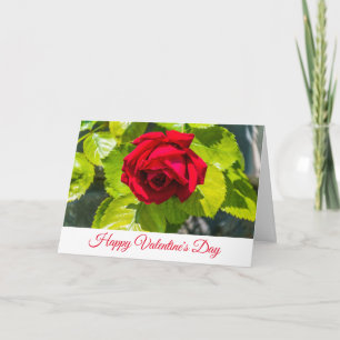 Carte de la Saint-Valentin rose rouge de près