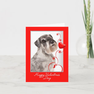 Carte de la Saint-Valentin Schnauzer