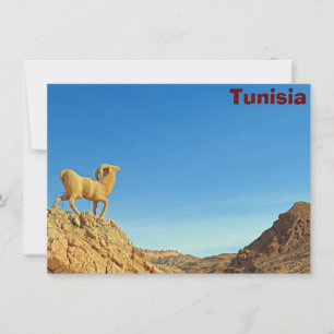 Carte de la statue de chèvre tunisienne